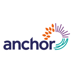 Anchor-500x500-1.png